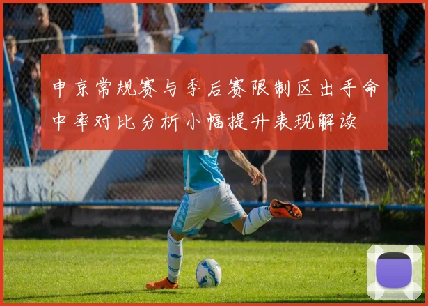 申京常规赛与季后赛限制区出手命中率对比分析小幅提升表现解读