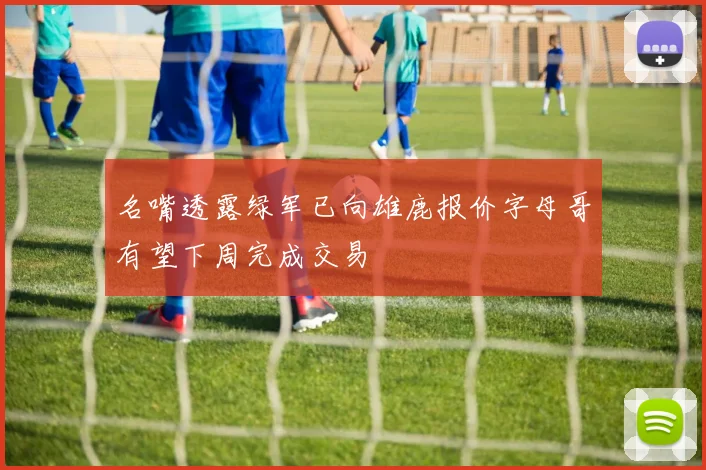名嘴透露绿军已向雄鹿报价字母哥有望下周完成交易