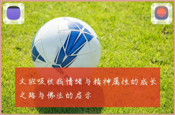 文班吸收我情绪与精神属性的成长之路与佛法的启示
