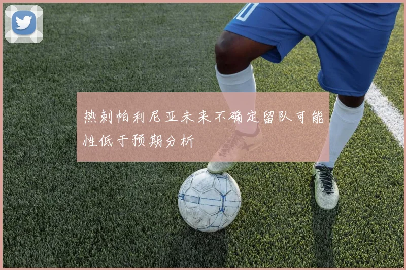 热刺帕利尼亚未来不确定留队可能性低于预期分析